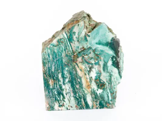 Gary Green Petrified Wood