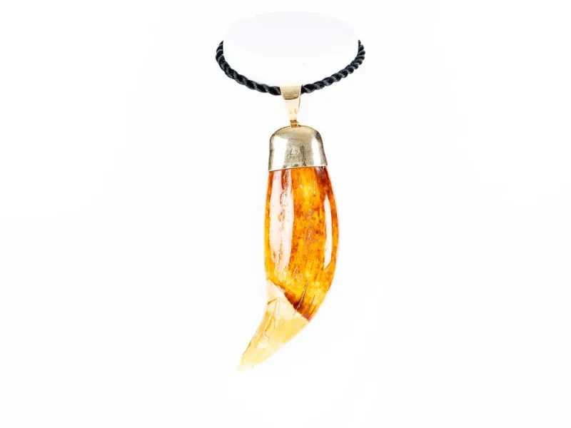 Giant Fossil Polar Bear Tooth With 14 Karat Gold Bail