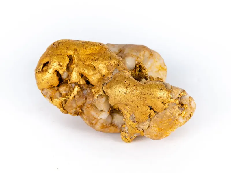 Atlin Potato Gold Nugget With Quartz Specimen