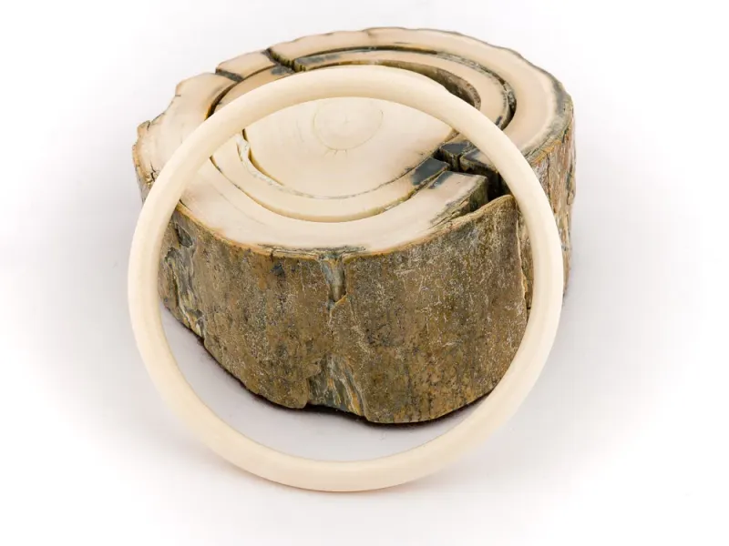 Ivory Jacks Fossilized Woolly Mammoth Cream Bangle