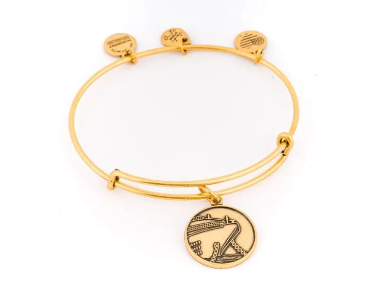 Alex And Ani Alaska Cruise Bangle