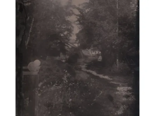 Alaskan Garden Path Tintype Photo
