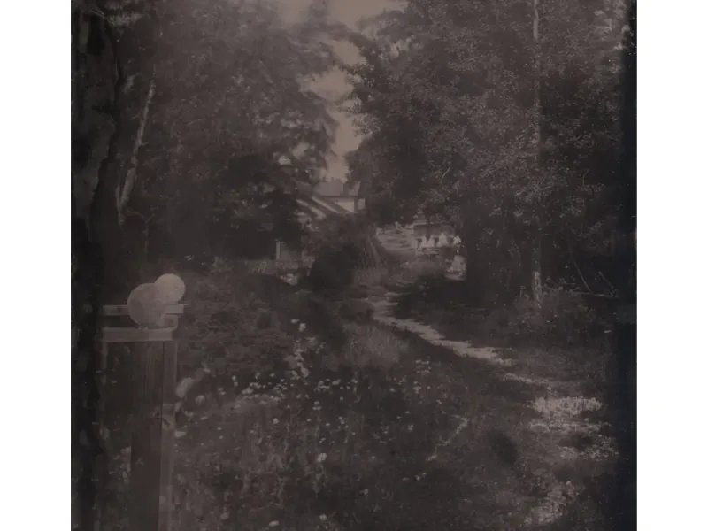 Alaskan Garden Path Tintype Photo