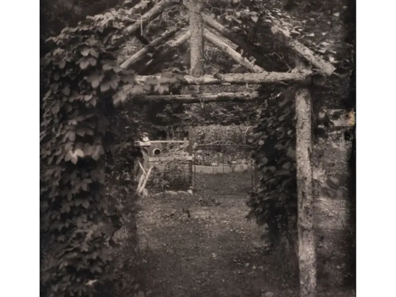 Alderworks Arch Tintype Print