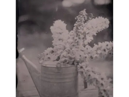 Watering Can With Flowers Tintype Print