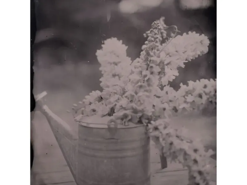 Watering Can With Flowers Tintype Print