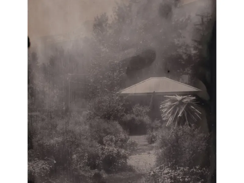 Garden of Glass Jewel Gardens Tintype Print
