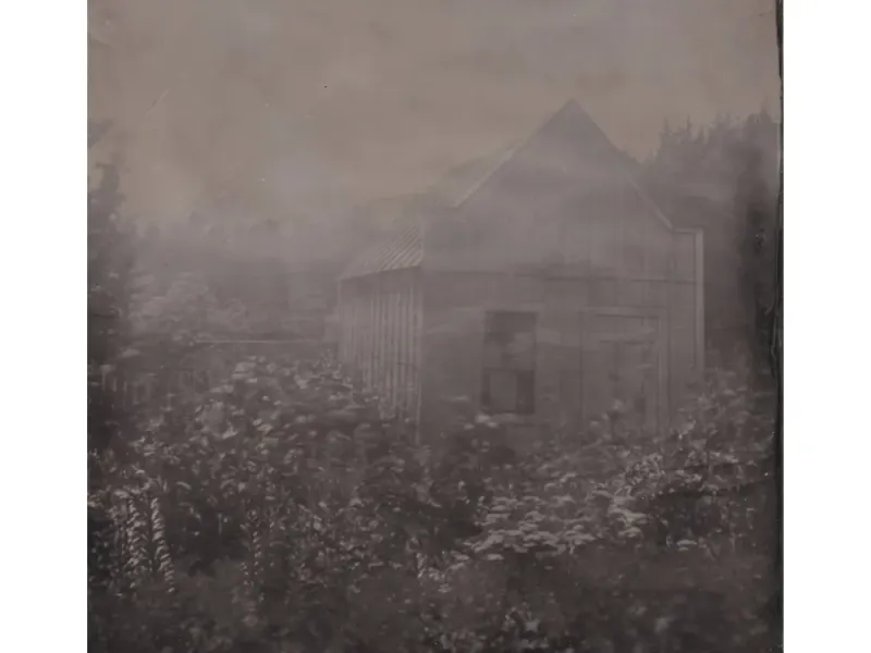 Lily Crib Tintype Print