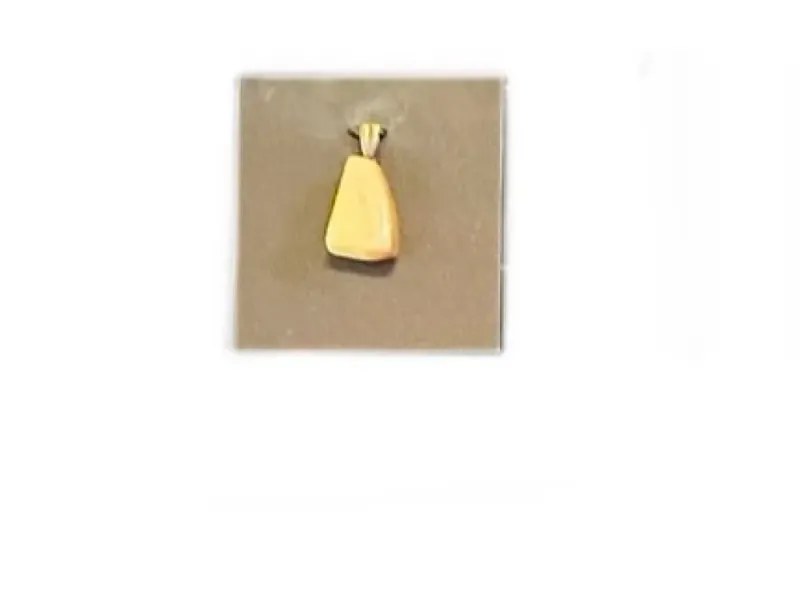 Fossilized Walrus Ivory Pendant