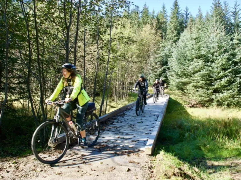 Rainforest Bicycle Tour