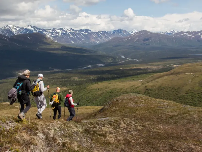 Denali Private Full-Day Adventure