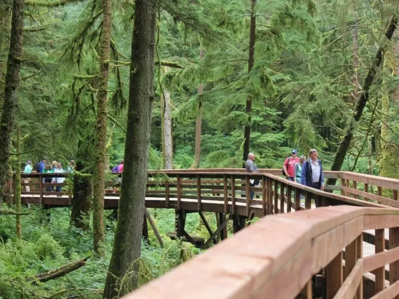 Rainforest Sanctuary, Totem Park & Eagles