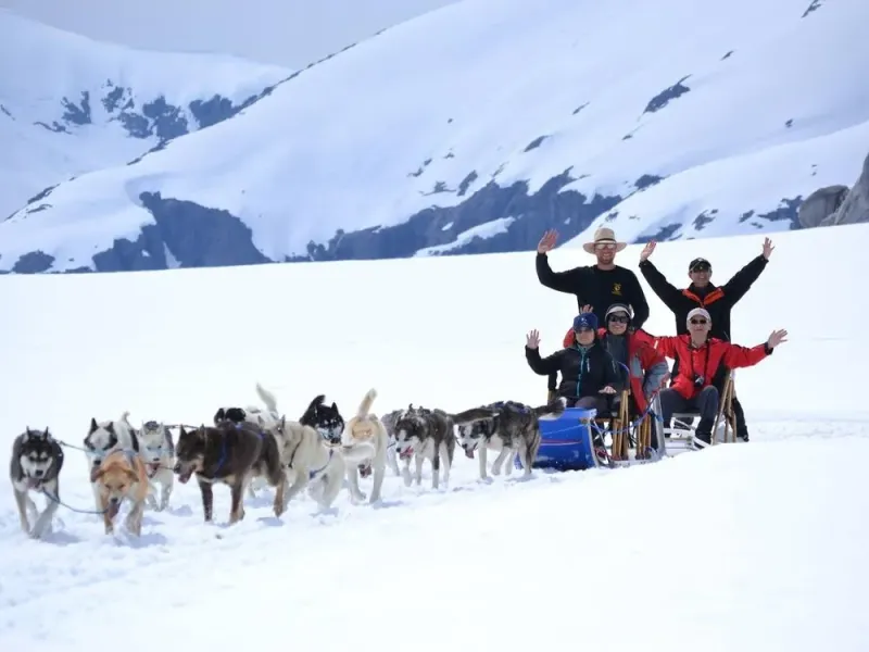Glacier Dog Sled Experience by Helicopter