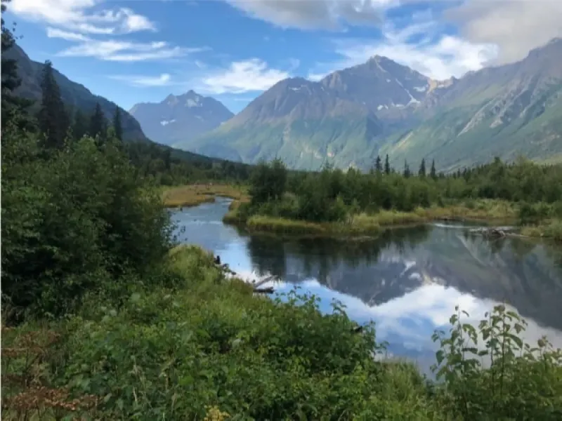 Summer Valley & Forest Hike