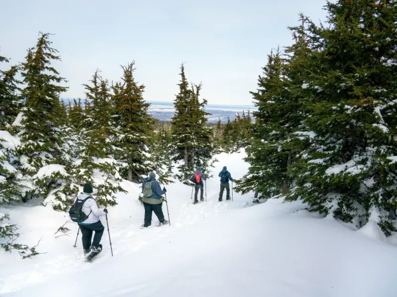 Advanced Snowshoeing Adventure