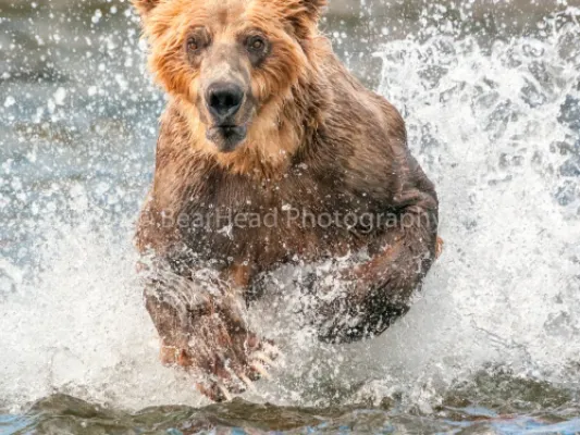 Coming at You