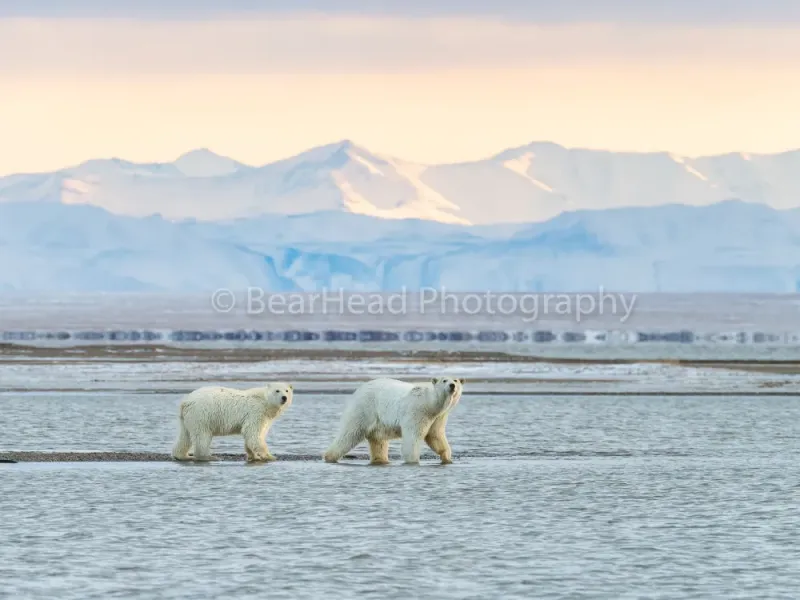 Polar Mountains