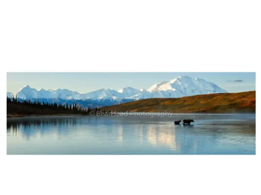 Wild Denali