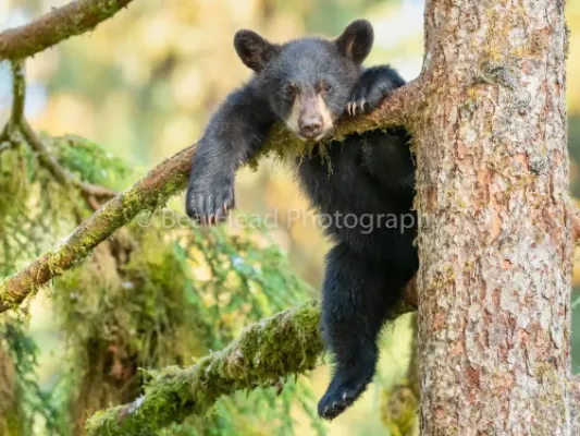 Hanging Out