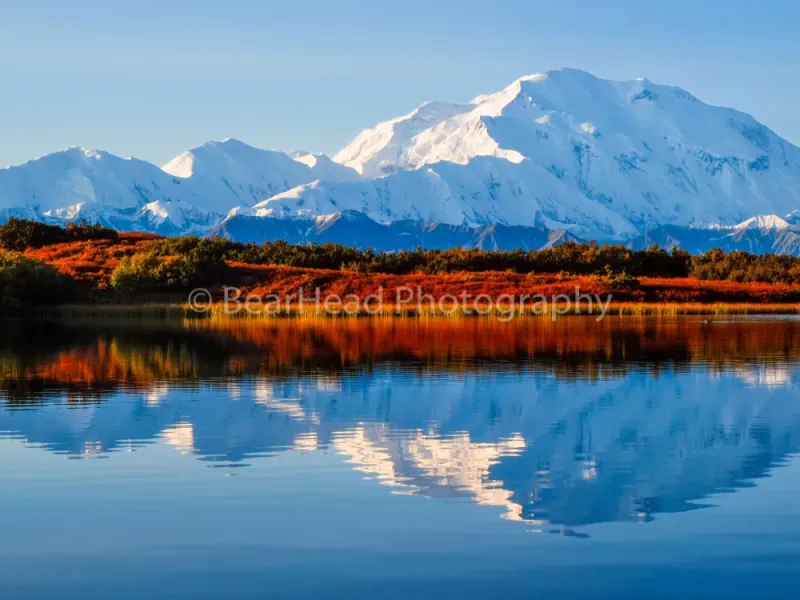Denali's Splendor