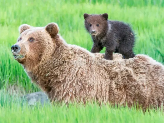 Standing on Mom