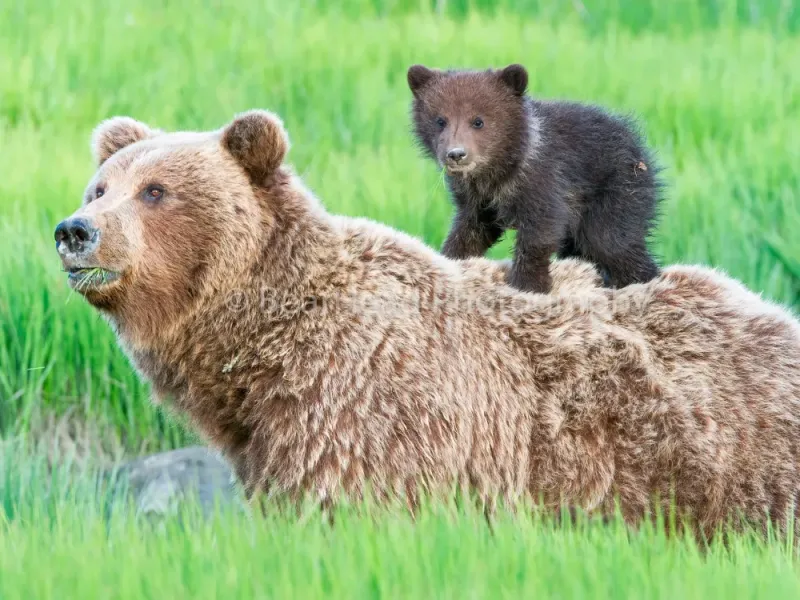 Standing on Mom