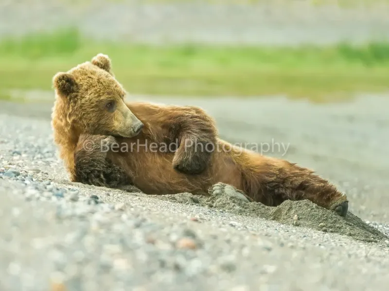 Relaxes