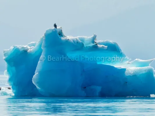 Berg Perch