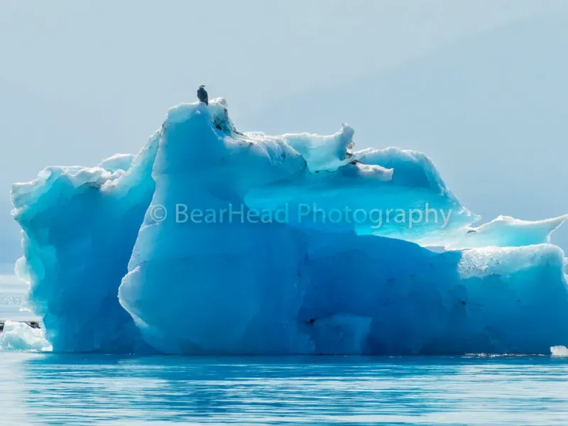 Berg Perch