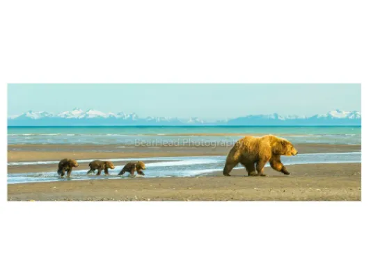 Beach Walk