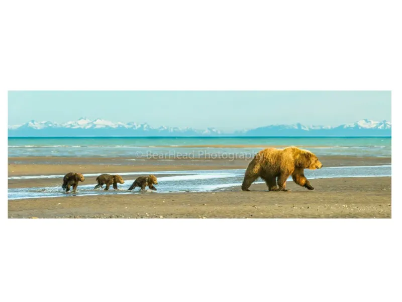 Beach Walk