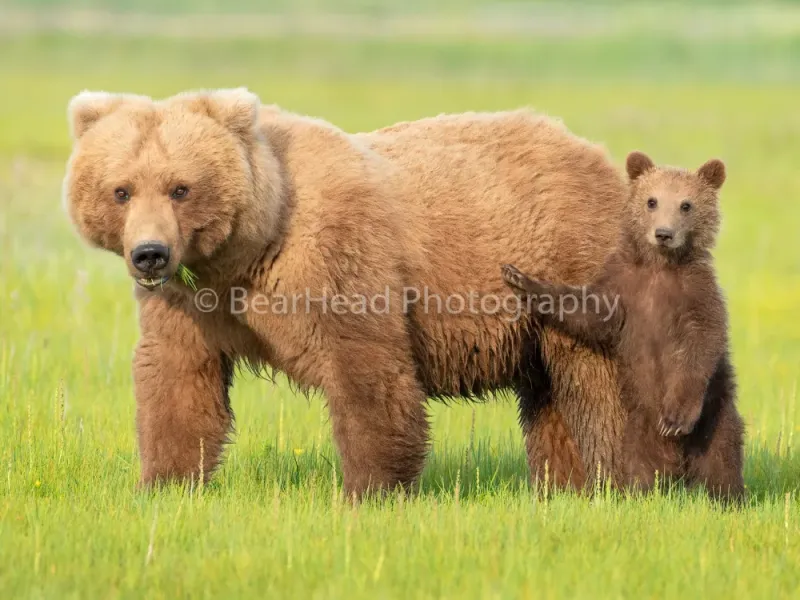 Touching Mom