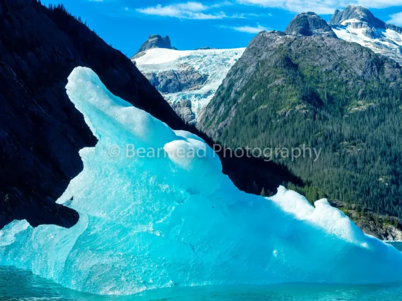 Icy Coast