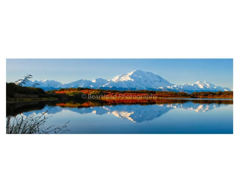 Fall Reflection