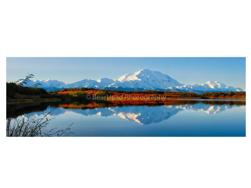 Fall Reflection