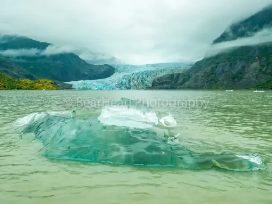 Icy Mendenhall