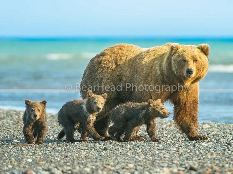 First Beach Walk