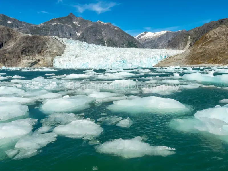 Iceberg Glacier