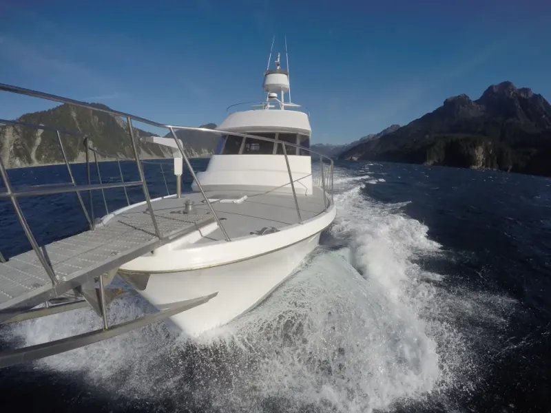 Resurrection Bay 8 Hour Sightseeing Tour