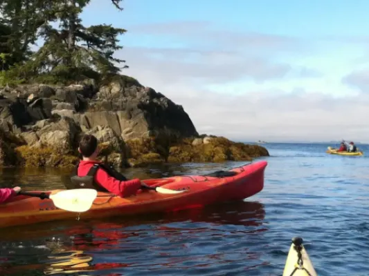 Kayak Eco-Tour