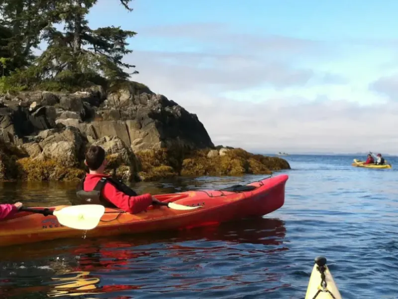 Kayak Eco-Tour