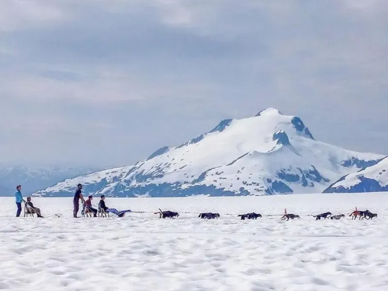 Juneau Dog Sledding On The Mendenhall Glacier