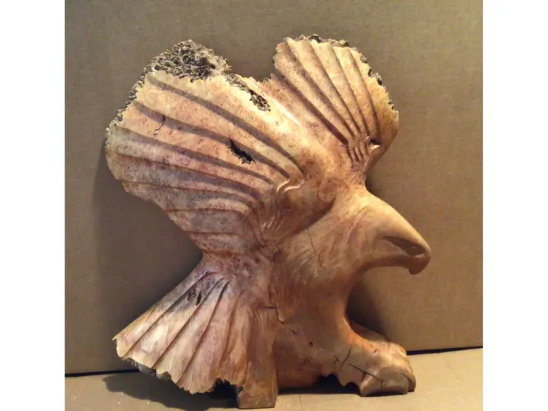 Majestic Eagle
