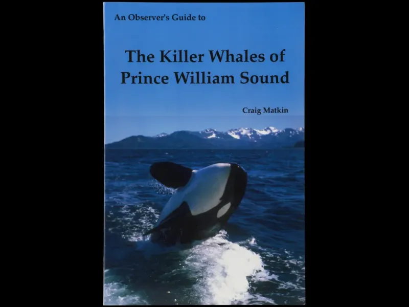 The Killer Whales of Prince William Sound