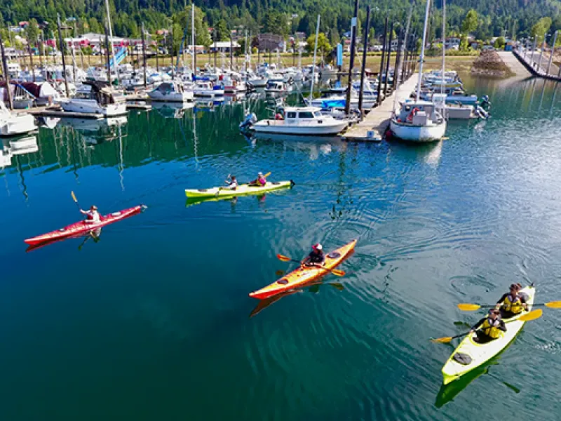 Guided Kayak Tour