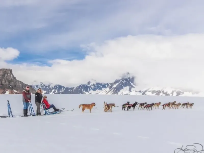 Helicopter Glacier Dog Sledding
