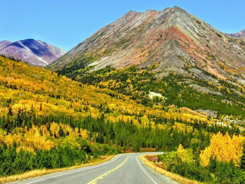 Yukon Discovery Tour
