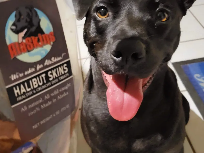 AlaSkins Halibut Dog Treats