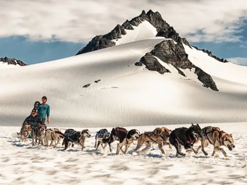 Helicopter Glacier Dog Sledding