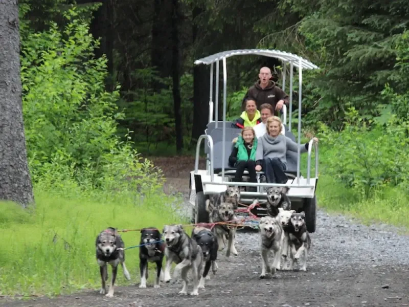 Turning Heads Kennel Tour & Dog Sled Ride